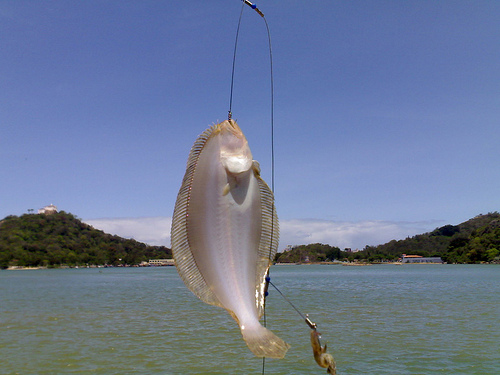 2934058925_39f9c005d7