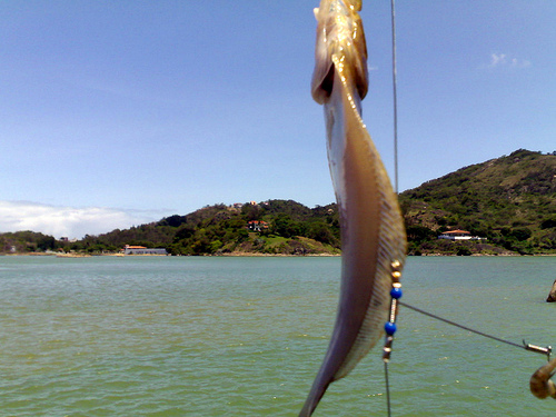 2934916288_fac7a53ee9