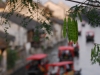 DSC_3919